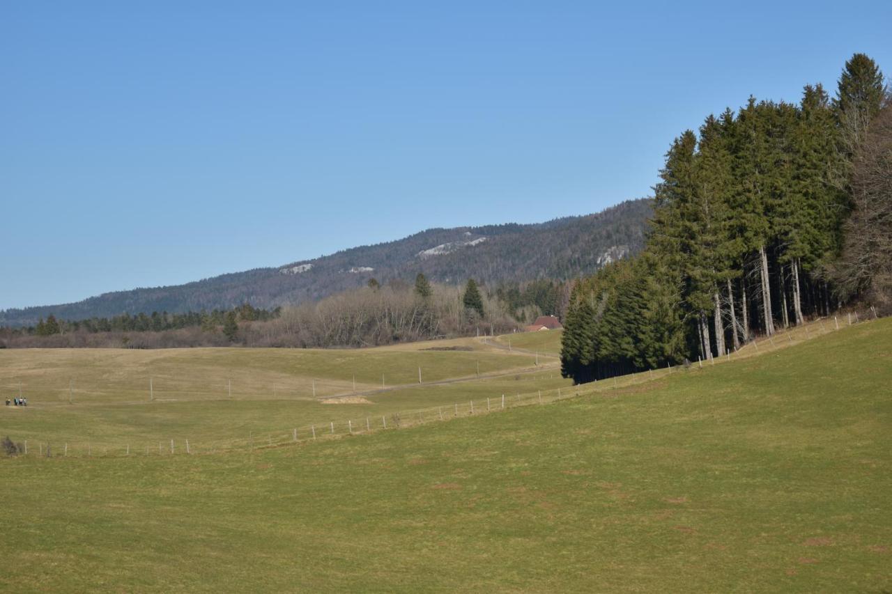 Hotel Le Meleze Moirans-en-Montagne Buitenkant foto